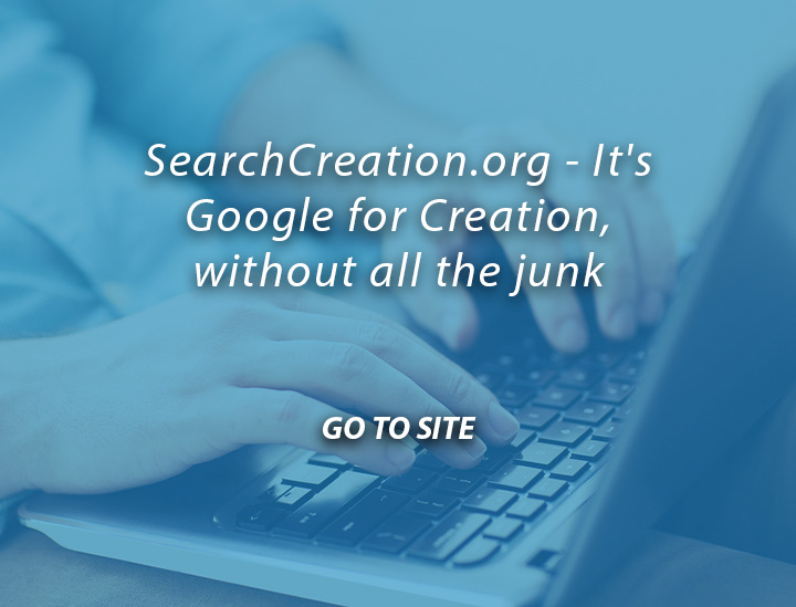 Search Creation